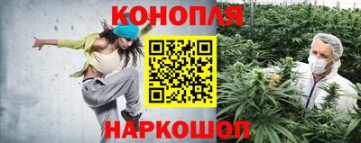 альфа пвп Славянск-на-Кубани