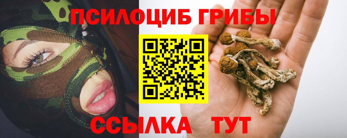 Псилоцибиновые грибы прущие грибы Новочебоксарск